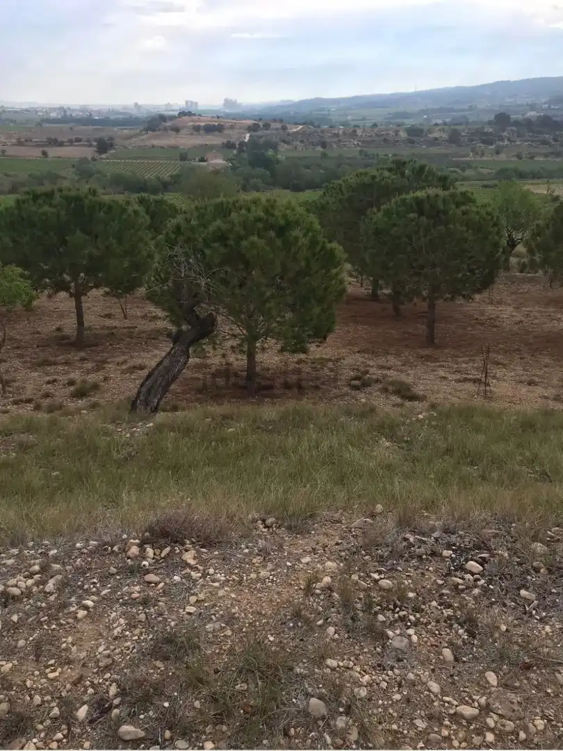 Finca rústica en venda a Carretera de Castellet, 114, L'Arboç