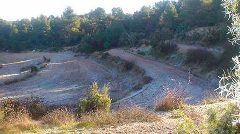 FINCA LABOR SECANO, imagen 3