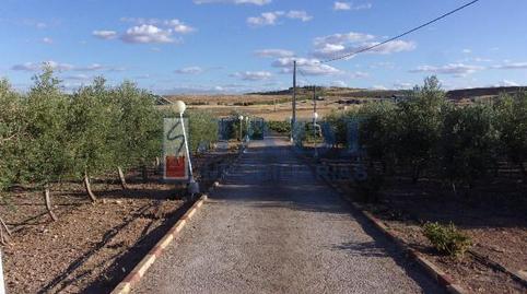 Foto 2 de Finca rústica en venda a Valdepeñas, Ciudad Real