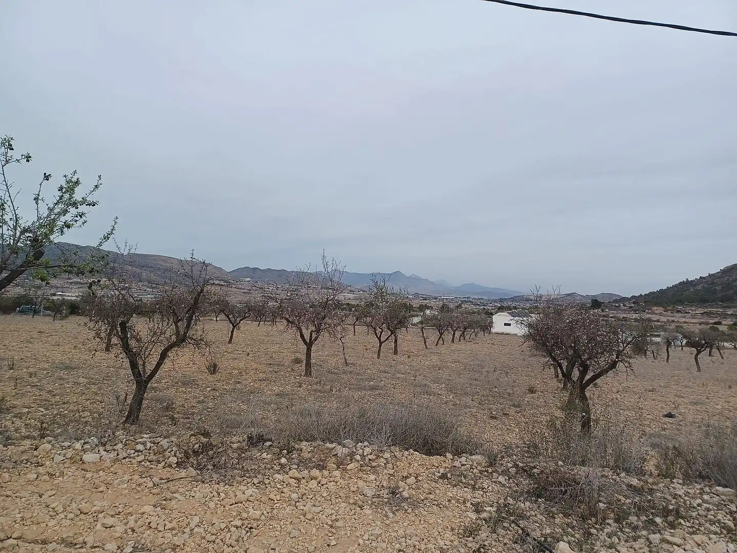 Terreny rústic en venda a La Romana, imagen 6