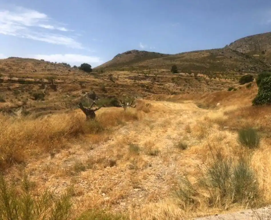Terrain rustique à vendre à Lorca Ciudad, imagen 2