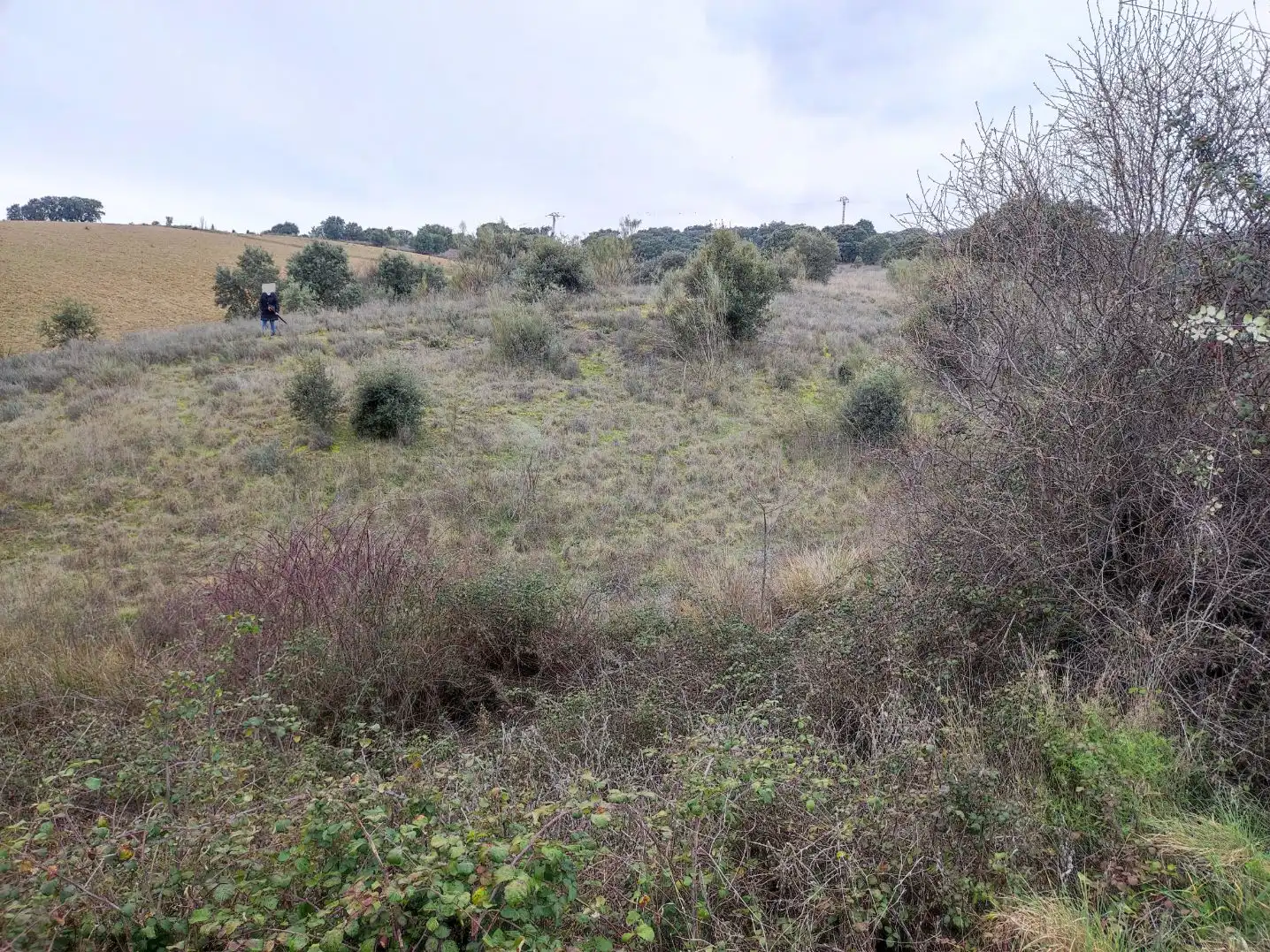 Terreny rústic en venda a Carretera de Colmenar 6134, imagen 3