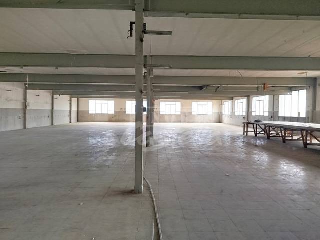 Nave industrial en Alquiler en El Palau - Escorxador
