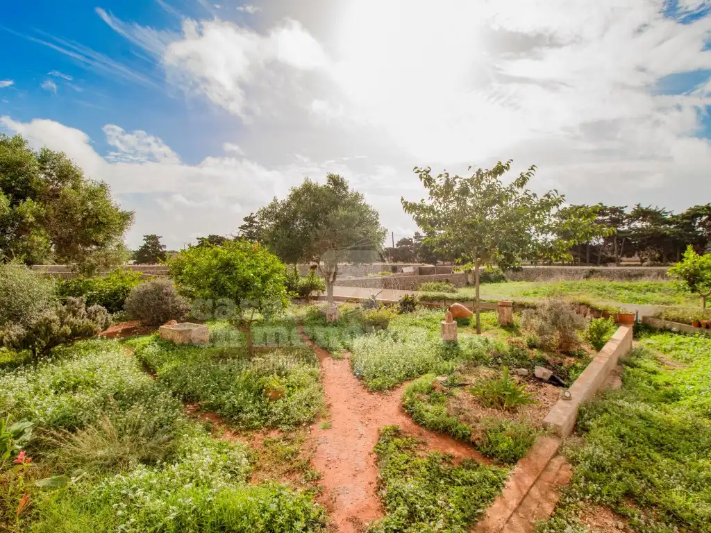 Jardí de Finca rústica en venda en Maó - Mahón amb Jardí privat, Terrassa i Piscina