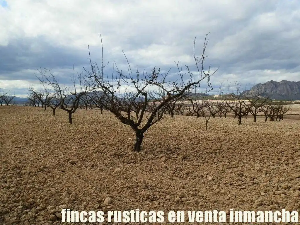 Rustikales Grundstück zum Verkauf in Cieza, imagen 13