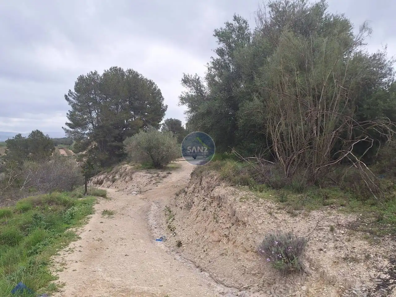 Terreny rústic en venda a Pda Barranc de l´Algar, imagen 2