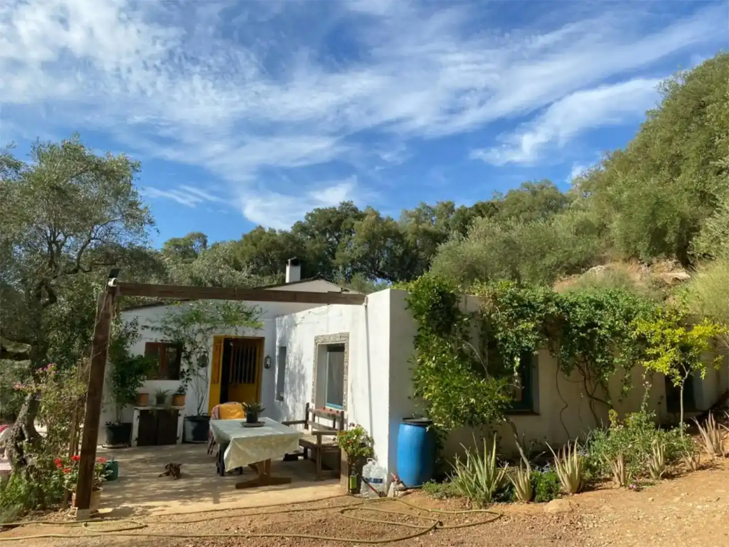 Jardí de Finca rústica en venda en Cortes de la Frontera amb Jardí privat, Forn i Rentadora