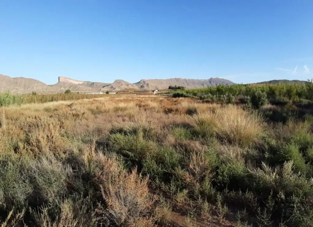 Rustikales Grundstück zum Verkauf in Jimena (La)-Casa Tosquilla (De La) 113, imagen 6