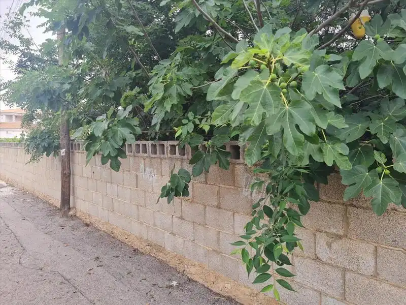 Residencial en venta en Picassent