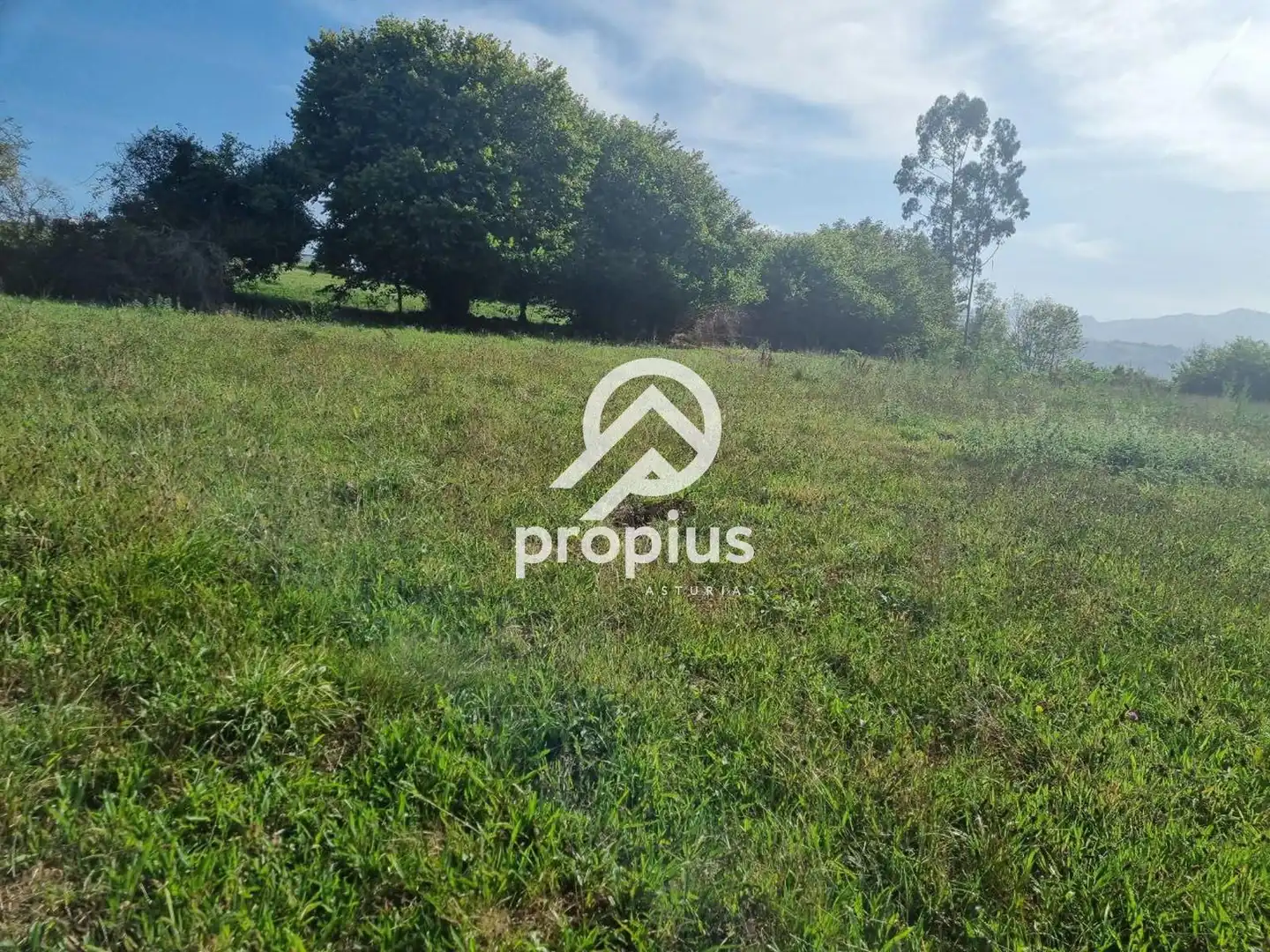 Rural land for sale in Arenas, imagen 11