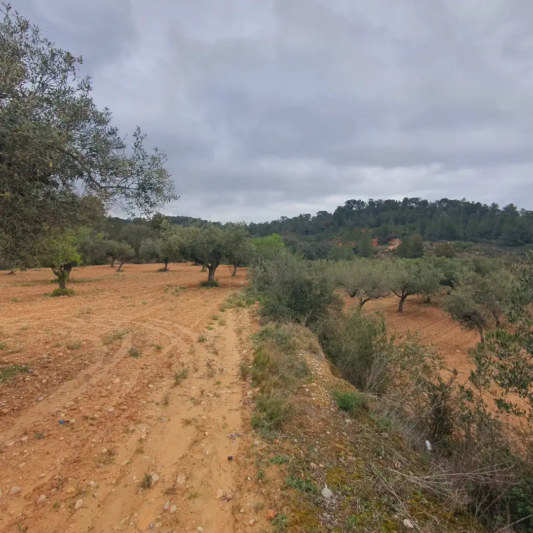 Rustikales Grundstück zum Verkauf in El Pinell de Brai