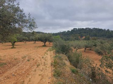 Rustikales Grundstück zum Verkauf in El Pinell de Brai