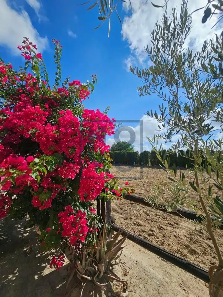 Jardí de Finca rústica en venda en Lebrija
