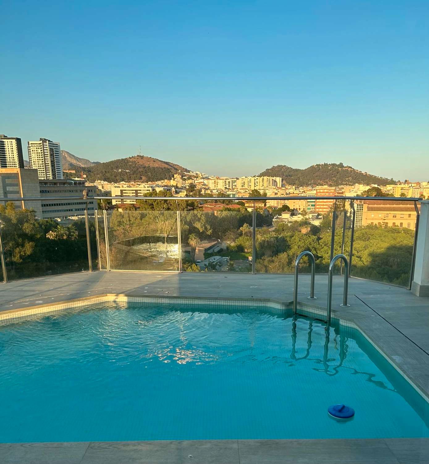 Swimming pool of Duplex for sale in Málaga Capital  with Air Conditioner, Terrace and Swimming Pool