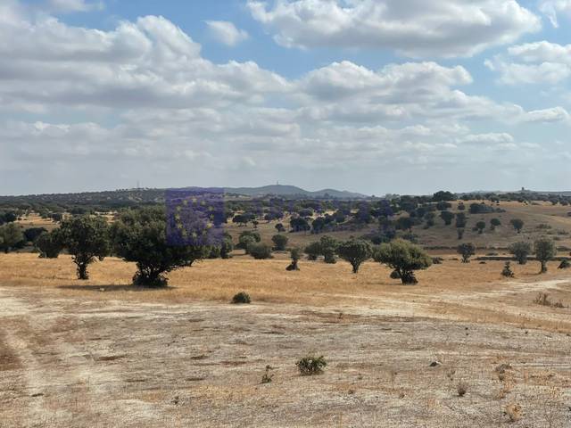 Casa-chalet en Venta en Poligono 19 Paraje 668 Marrada De La Sociedad en Estación Arroyo Malpartida