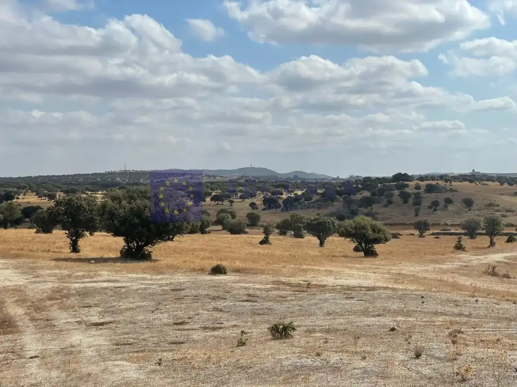 Houses for sale in Poligono 19 Paraje 668 Marrada De La Sociedad, Estación Arroyo Malpartida