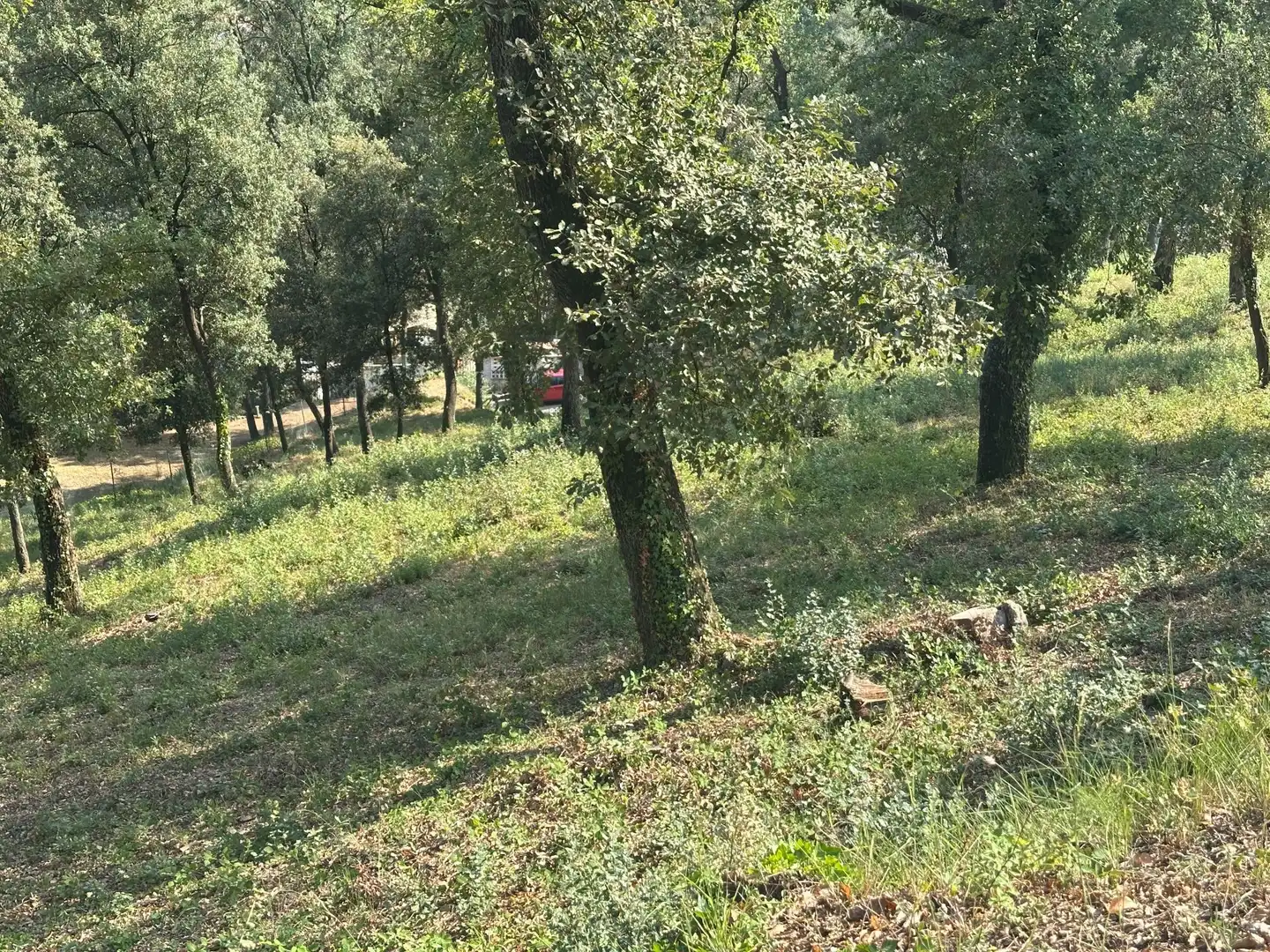 Residencial en venta en Santa Maria de Palautordera