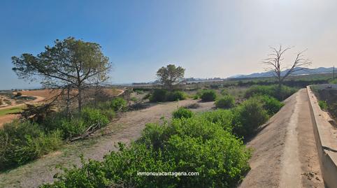 Photo 5 of Land for sale in Albujón, Murcia