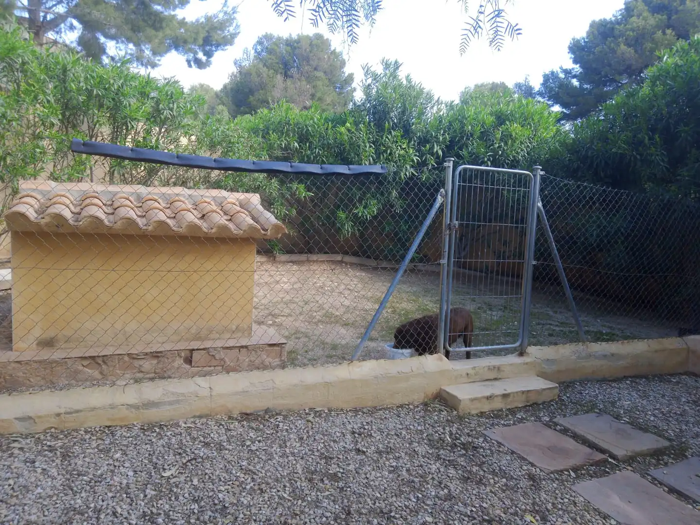 Jardí de Casa o xalet en venda en Tibi amb Aire condicionat, Jardí privat i Parquet