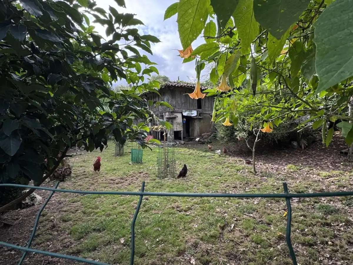 Jardí de Casa adosada en venda en Posada - Barro