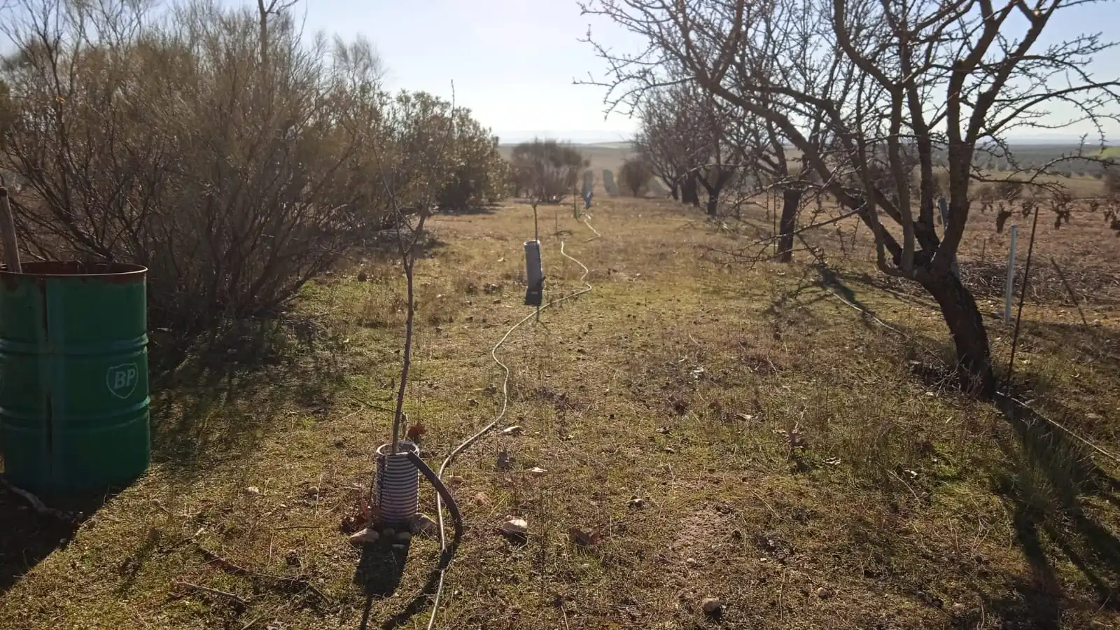 Terreno en venta en Illán de Vacas
