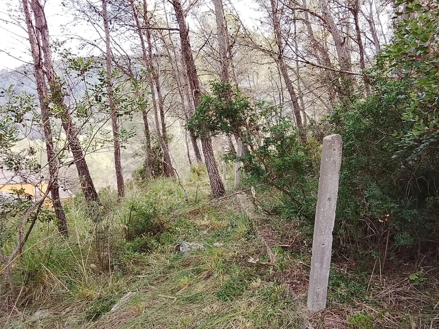 Terrain rustique à vendre à Puig Moltó - Can Macià, imagen 10