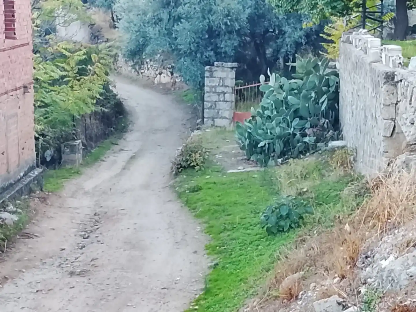 Terreni e lotti in vendita a El Hoyo de Pinares, imagen 5