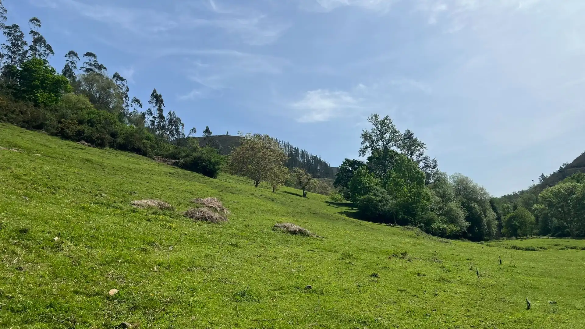 Casa o xalet en venda en Cangas de Onís amb Jardí privat