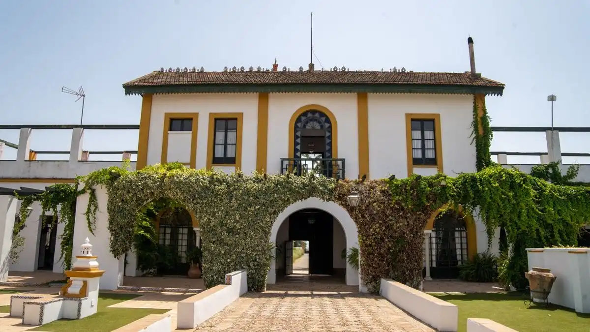 Vista exterior de Casa o xalet en venda en Espartinas amb Calefacció, Jardí privat i Terrassa