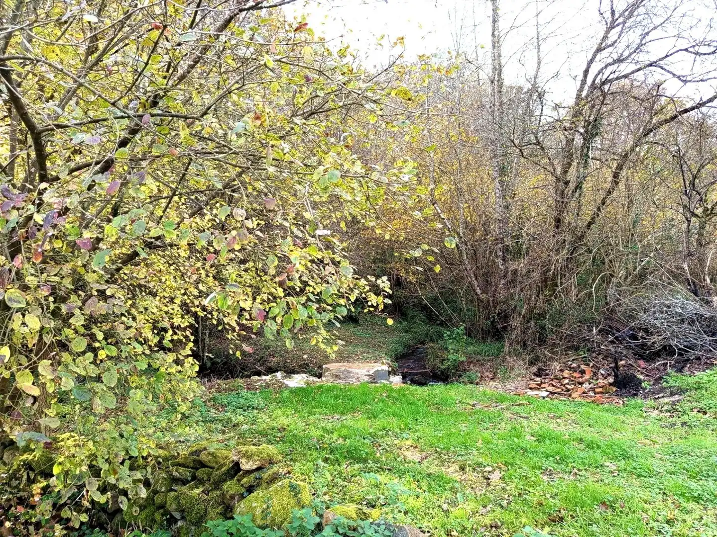 Terrenys i solars en venda a Villafufre, imagen 8
