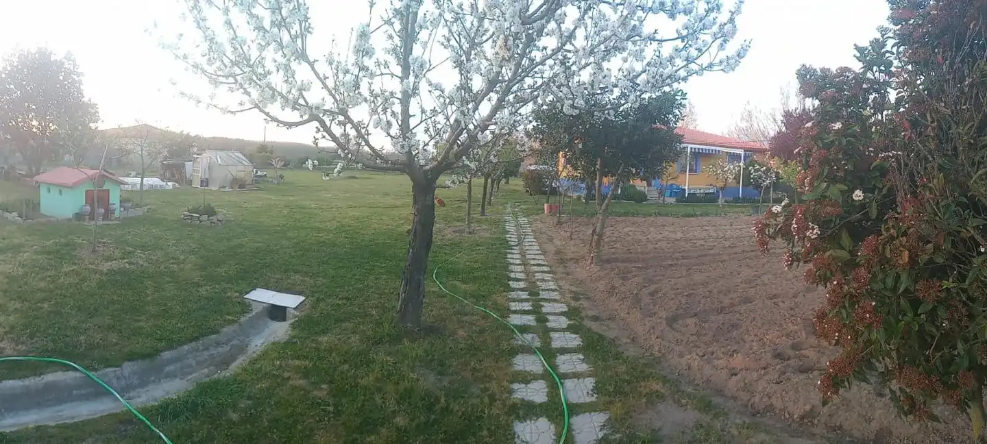 Houses for sale in Coria