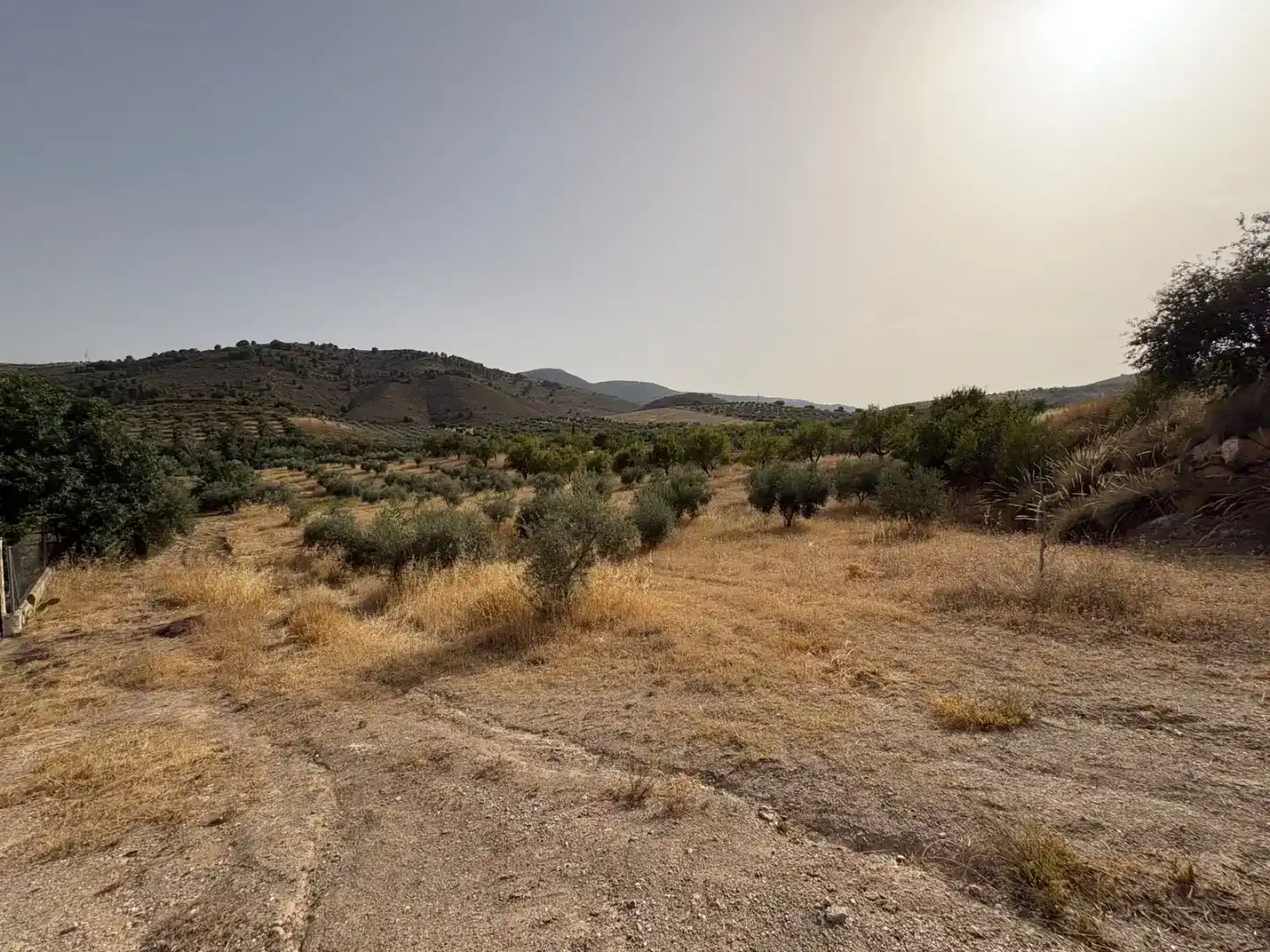 Pis en venda en Padul amb Jardí privat