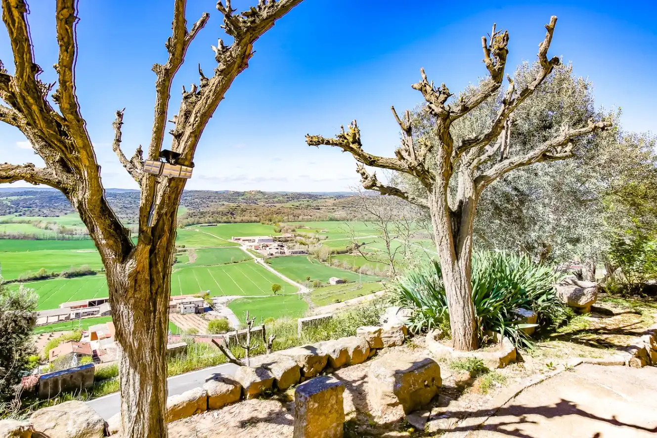 Jardí de Finca rústica en venda en Vilanova de l'Aguda
