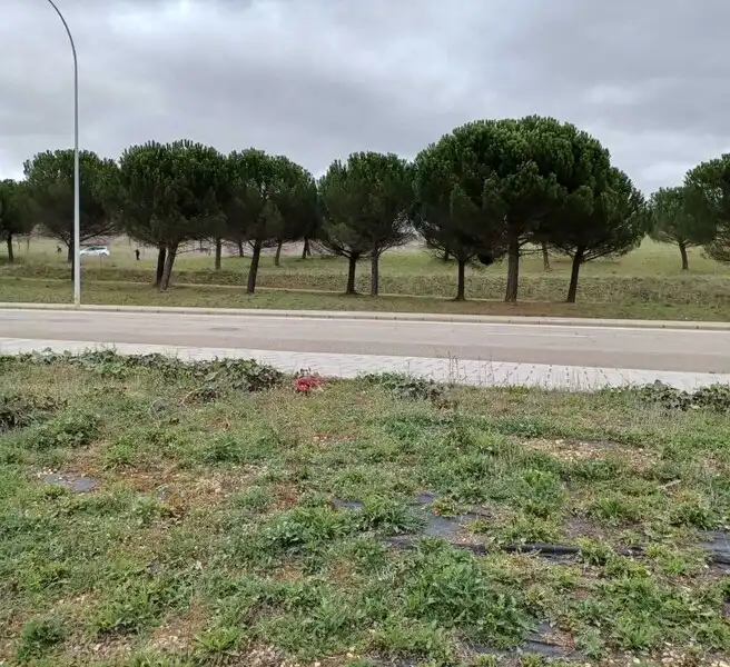 Terreni e lotti in vendita a CARBAJAL, imagen 8