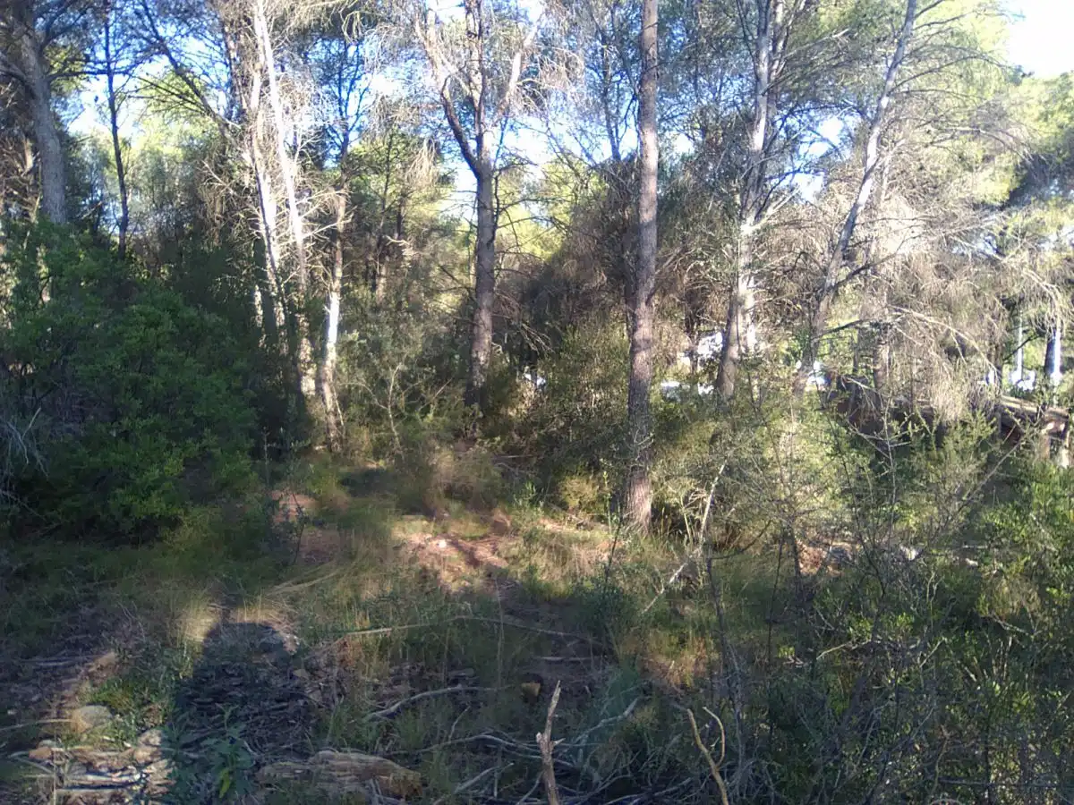 Terrenys i solars en venda a Estivella, imagen 9