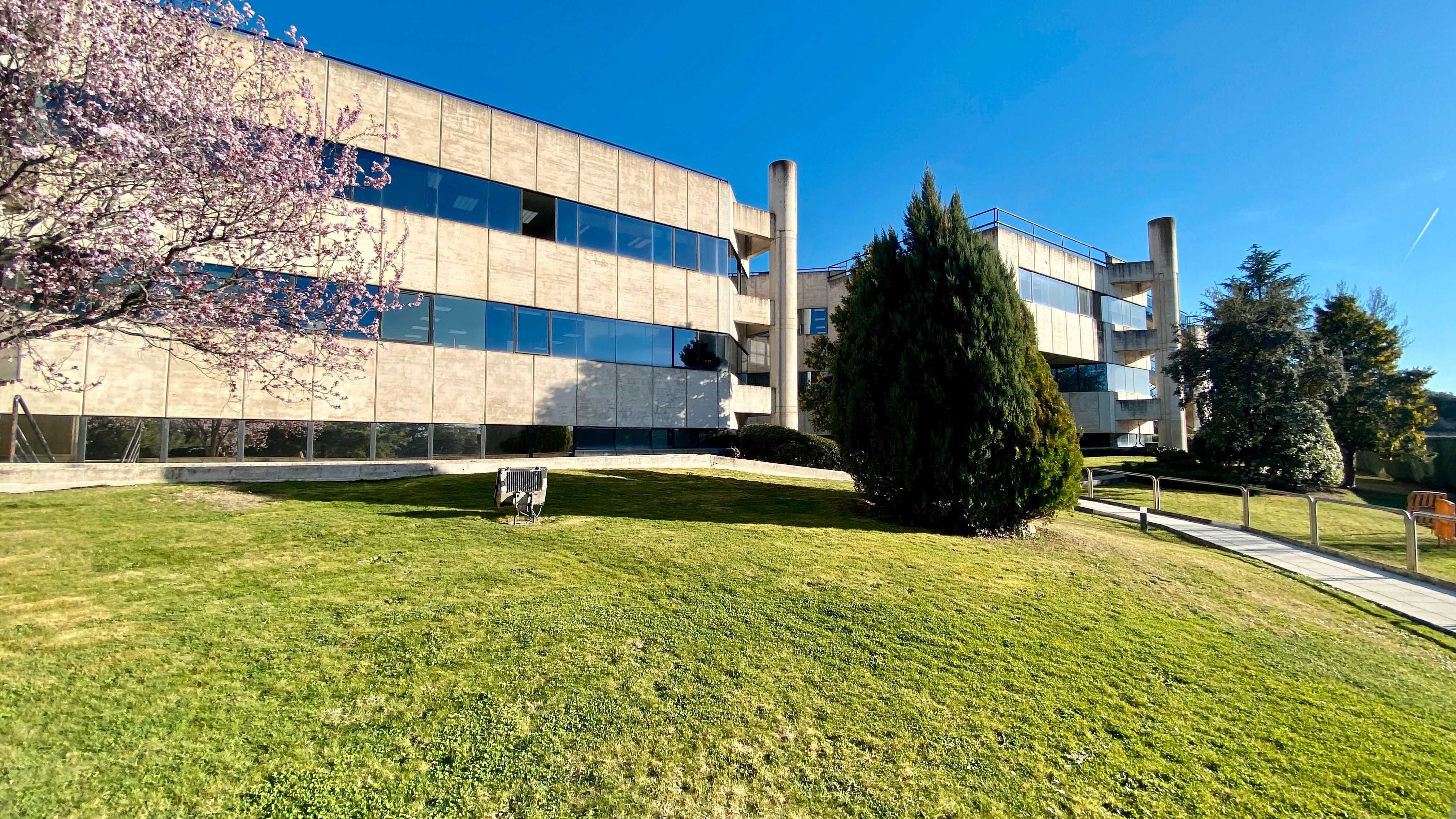 Oficina de lloguer a El Pinar - Punta Galea