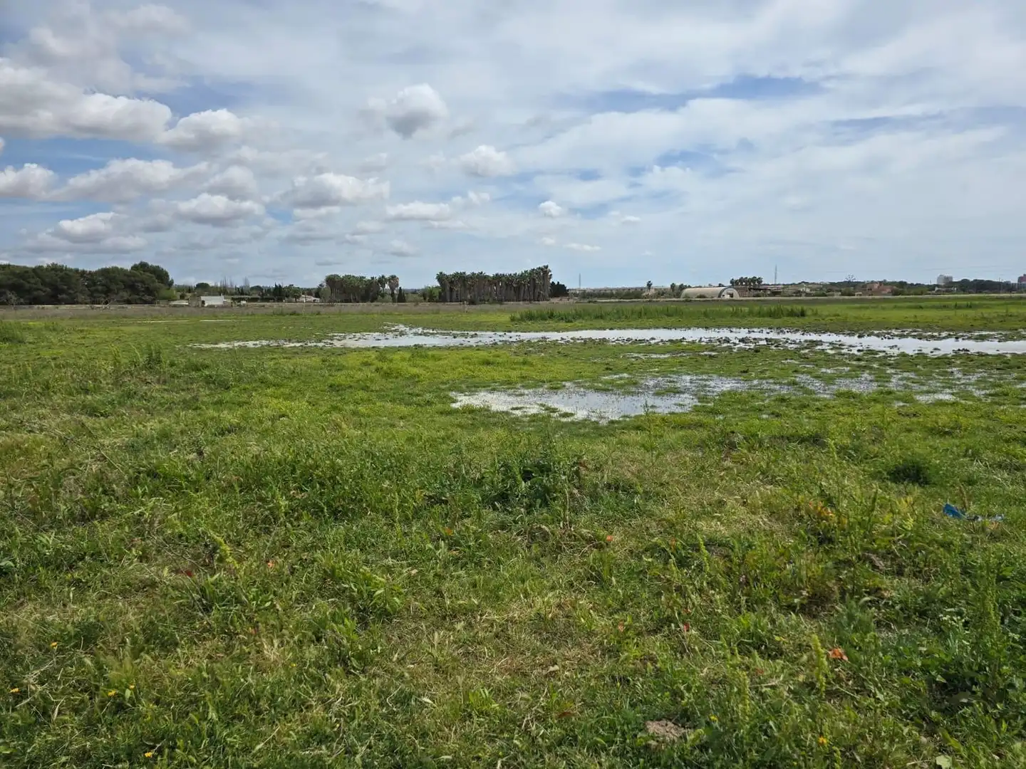 Finca rústica en venta en  Palma de Mallorca con Jardín privado, Terraza y Trastero