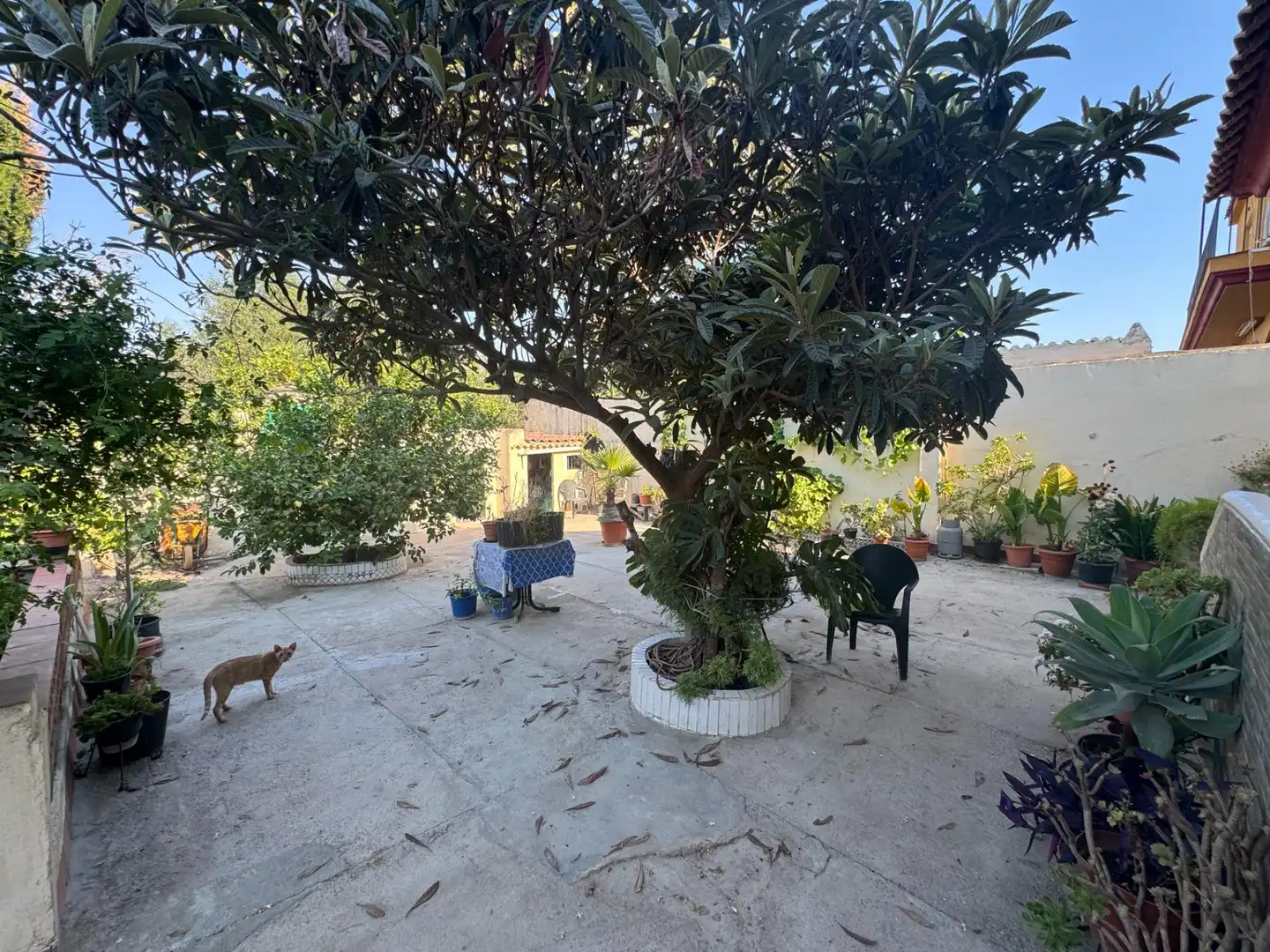 Terraza de Finca rústica en venta en Dos Hermanas