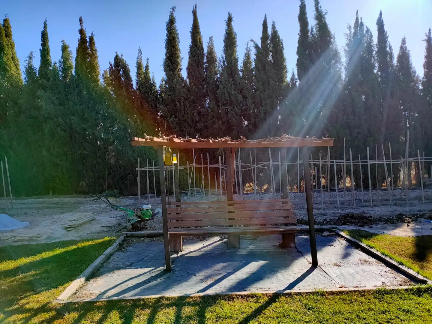 Jardín de Casa o chalet en venta en Lorca con Jardín privado, Terraza y Trastero