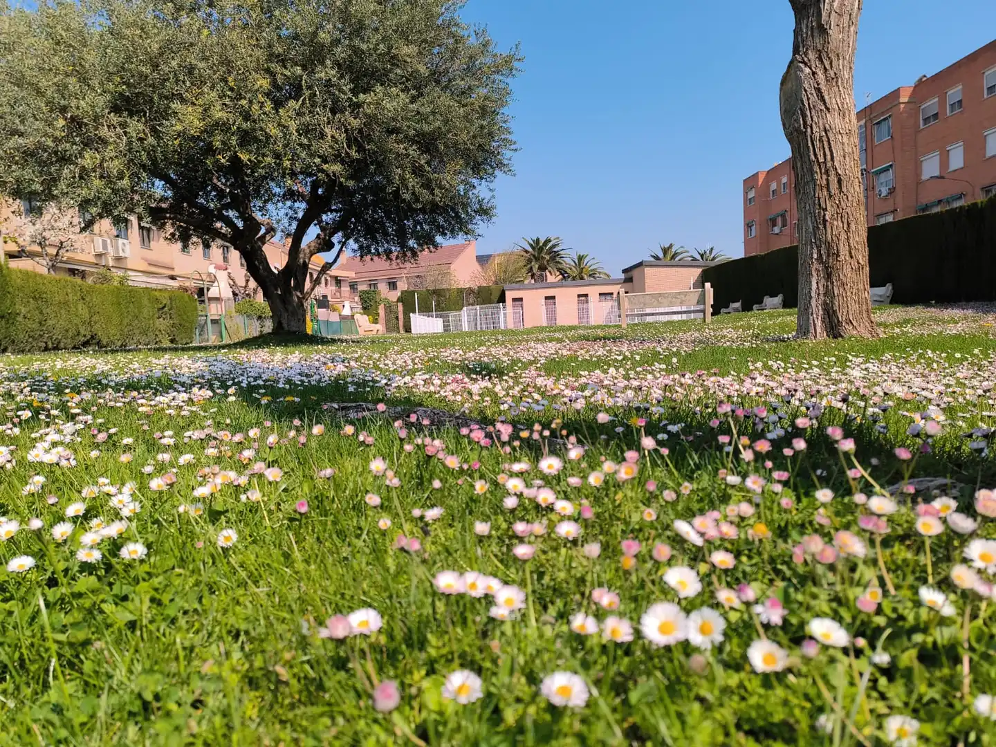 Jardí de Casa adosada en venda en Utebo amb Aire condicionat, Calefacció i Jardí privat