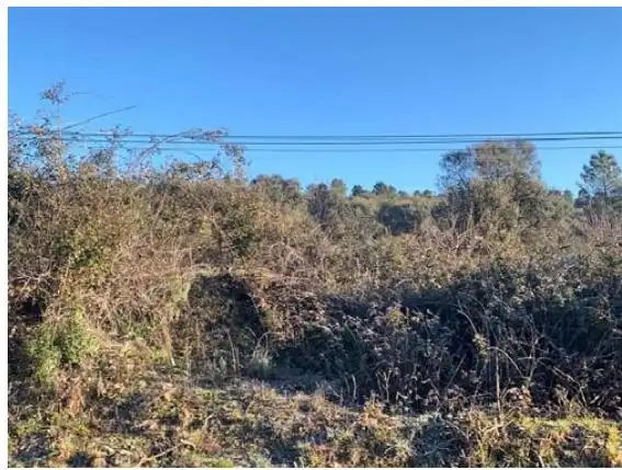 Terrenys i solars en venda a Arenas de San Pedro, imagen 2