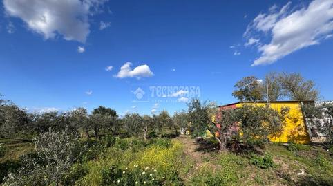 Foto 2 de Finca rústica en venda a Parque Atlántico- San Matías, Sevilla