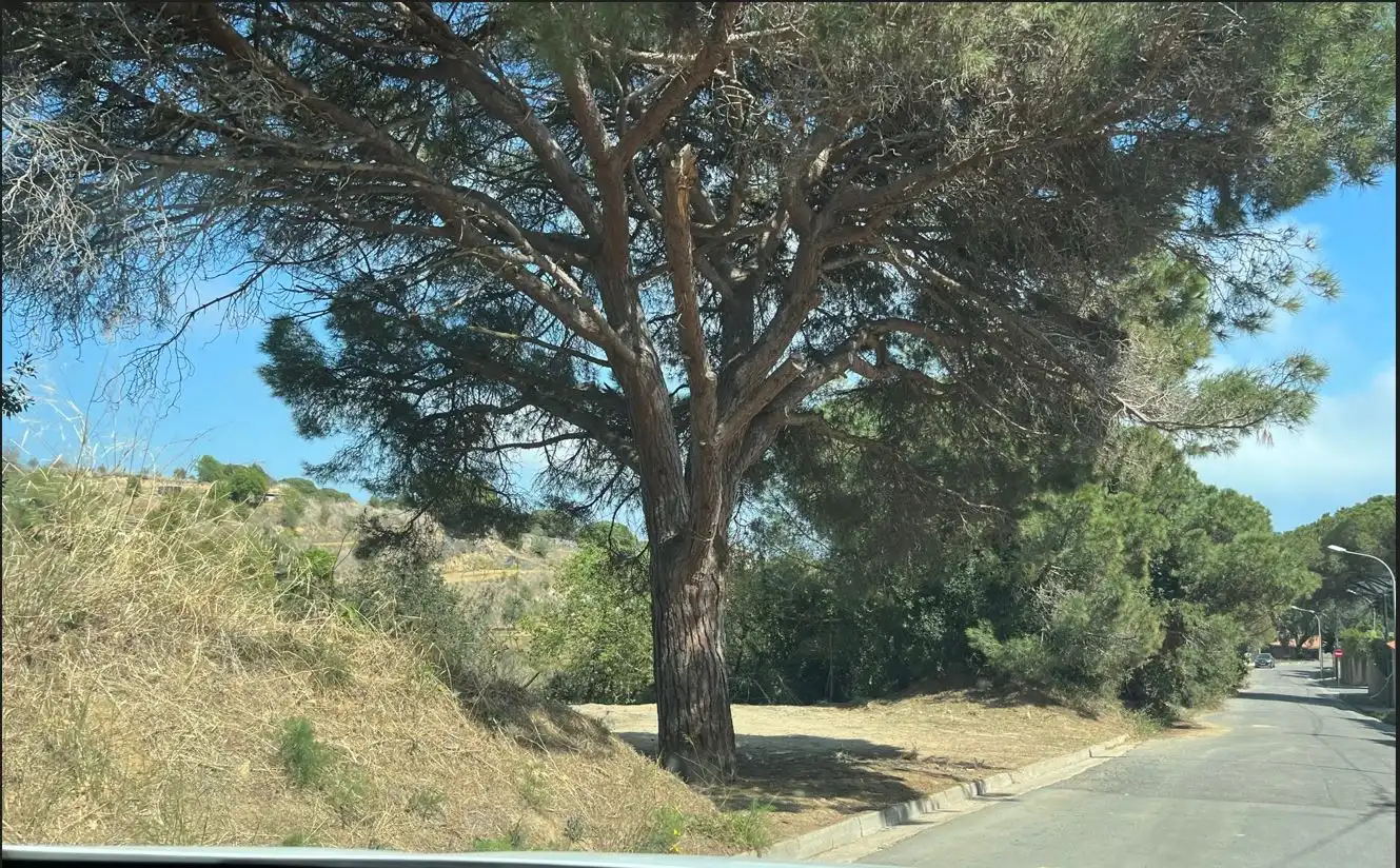 Rustikales Grundstück zum Verkauf in Urb. Residencial Blanes, imagen 6