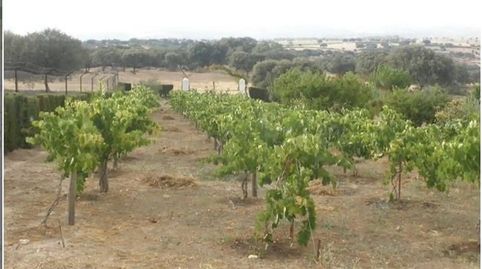 Foto 2 de Terreny en venda a Calle Santo Cristo, 26, Talaván, Cáceres