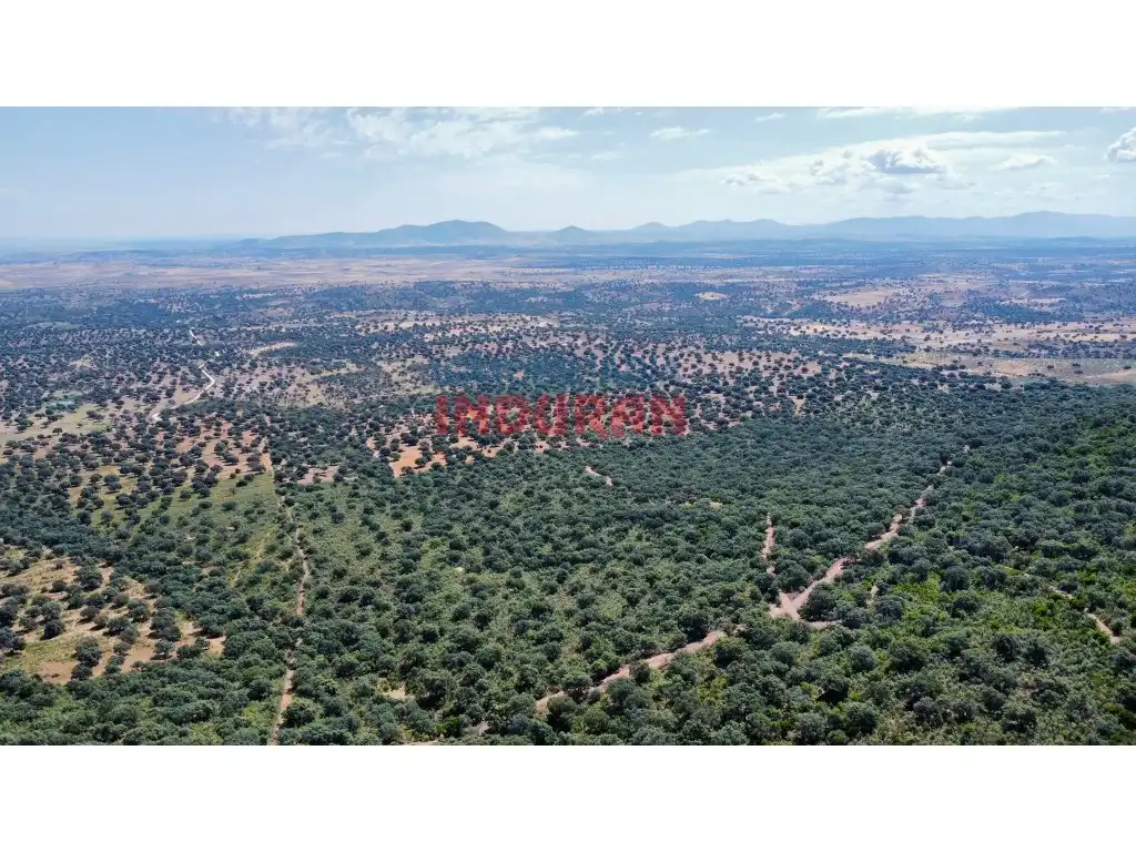 Finca rústica en venda en Villar del Pedroso