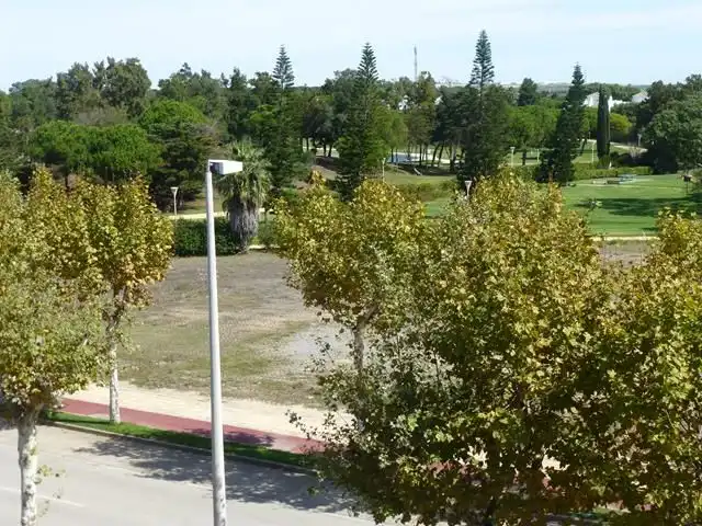 Àtic amb piscina de lloguer a Avenida Torrebreva 1, imagen 8