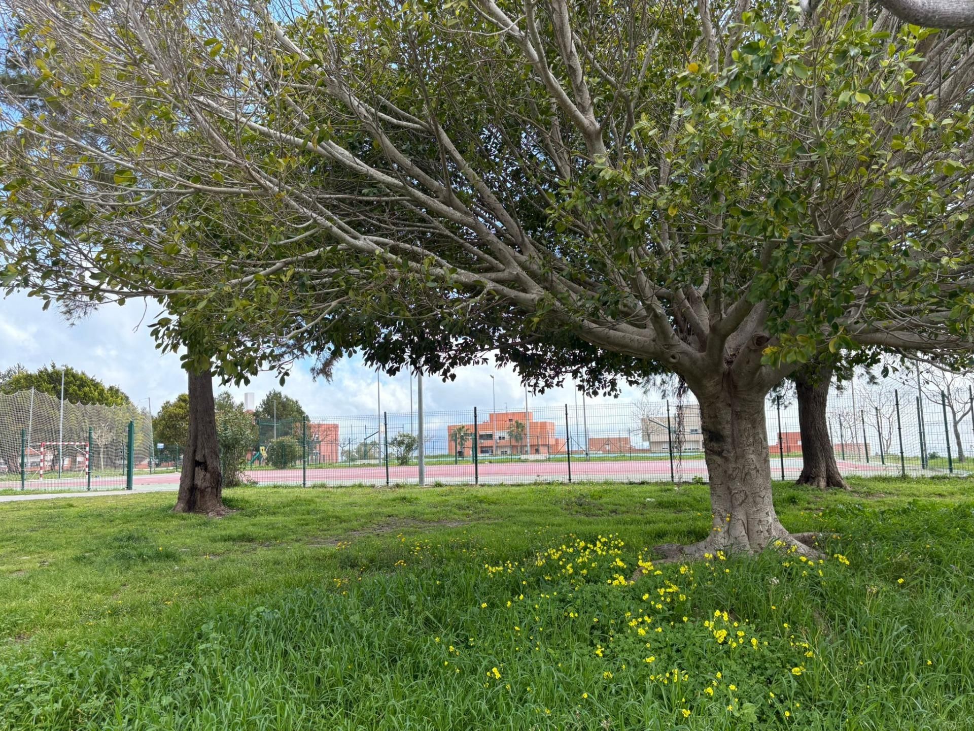 Flat for sale in Algeciras