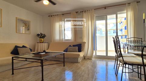 Photo 3 of Apartment for sale in San Fernando, 18, Oliva Nova, Oliva
