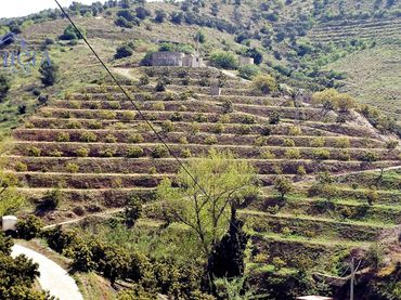 Terreny rústic en venda a Ítrabo