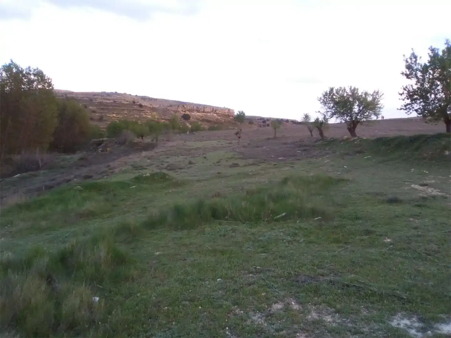 Finca rústica en venta en Higueruela, Albacete